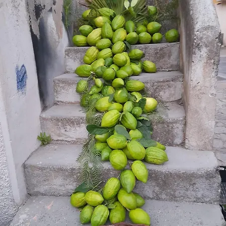 Da Giovanna Frühstückspension Santa Maria Del Cedro