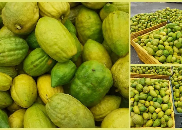 住宿加早餐酒店 Da Giovanna 3*