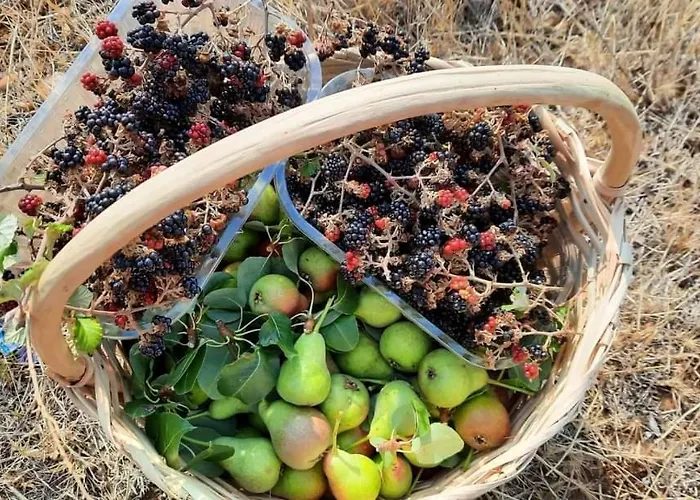 住宿加早餐酒店 Da Giovanna