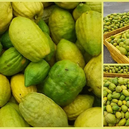 Bed & Breakfast Da Giovanna 3*