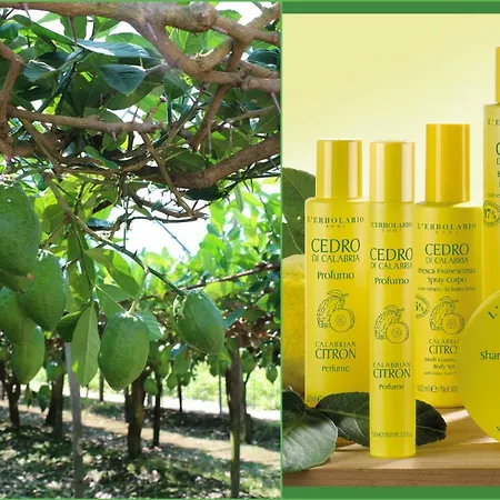 Da Giovanna Santa Maria Del Cedro