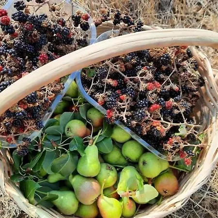 Bed & Breakfast Da Giovanna