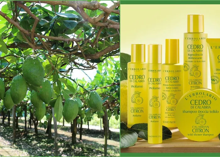 Da Giovanna Santa Maria Del Cedro