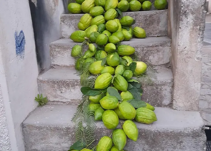 Da Giovanna Couette-café Santa Maria Del Cedro